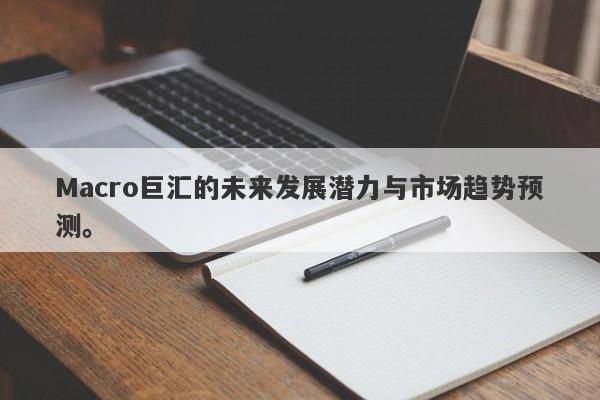 Macro巨汇的未来发展潜力与市场趋势预测。