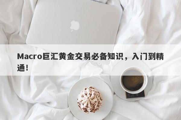 Macro巨汇黄金交易必备知识，入门到精通！