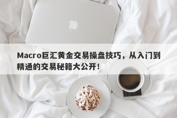 Macro巨汇黄金交易操盘技巧，从入门到精通的交易秘籍大公开！