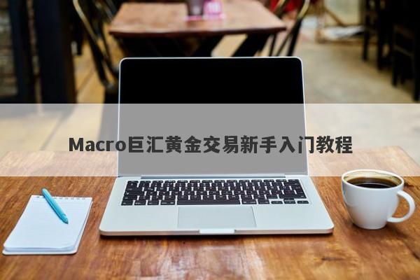 Macro巨汇黄金交易新手入门教程