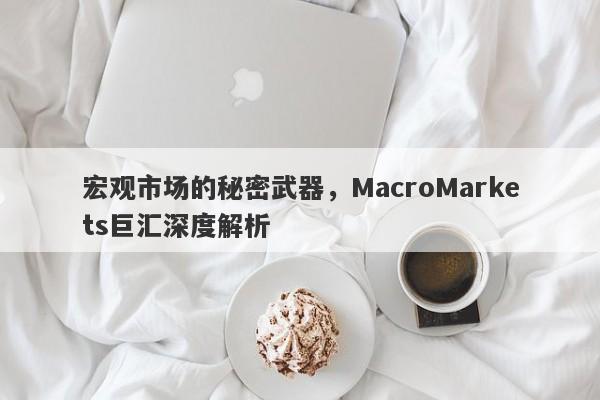 宏观市场的秘密武器，MacroMarkets巨汇深度解析