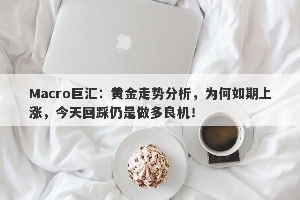 Macro巨汇：黄金走势分析，为何如期上涨，今天回踩仍是做多良机！