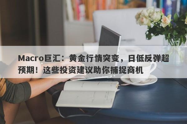 Macro巨汇：黄金行情突变，日低反弹超预期！这些投资建议助你捕捉商机