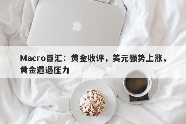 Macro巨汇：黄金收评，美元强势上涨，黄金遭遇压力