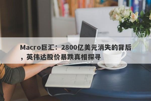 Macro巨汇：2800亿美元消失的背后，英伟达股价暴跌真相探寻