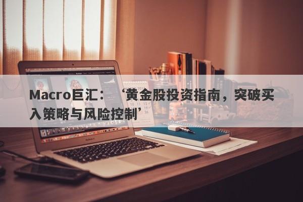 Macro巨汇：‘黄金股投资指南，突破买入策略与风险控制’