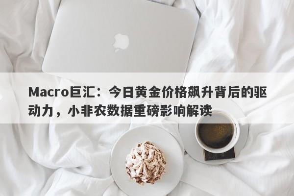 Macro巨汇：今日黄金价格飙升背后的驱动力，小非农数据重磅影响解读