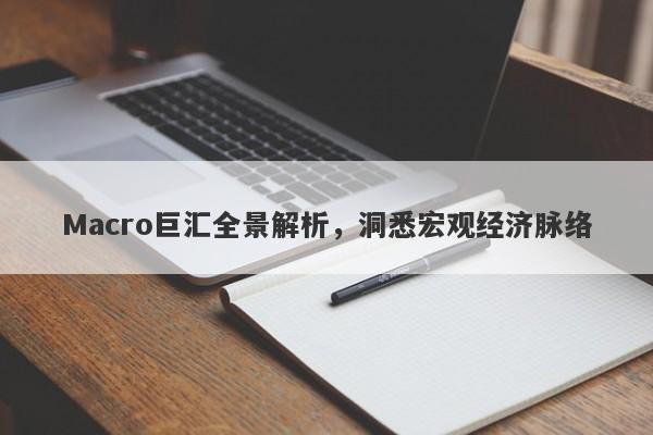 Macro巨汇全景解析，洞悉宏观经济脉络