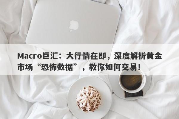 Macro巨汇：大行情在即，深度解析黄金市场“恐怖数据”，教你如何交易！