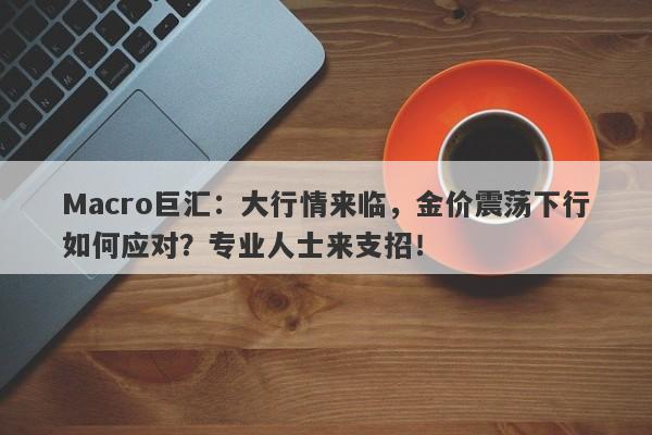 Macro巨汇：大行情来临，金价震荡下行如何应对？专业人士来支招！