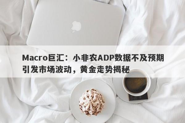 Macro巨汇：小非农ADP数据不及预期引发市场波动，黄金走势揭秘