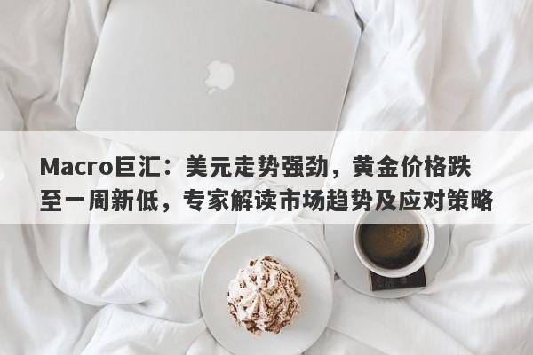 Macro巨汇：美元走势强劲，黄金价格跌至一周新低，专家解读市场趋势及应对策略