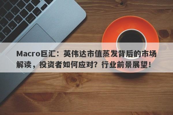 Macro巨汇：英伟达市值蒸发背后的市场解读，投资者如何应对？行业前景展望！