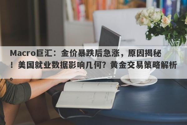 Macro巨汇：金价暴跌后急涨，原因揭秘！美国就业数据影响几何？黄金交易策略解析。