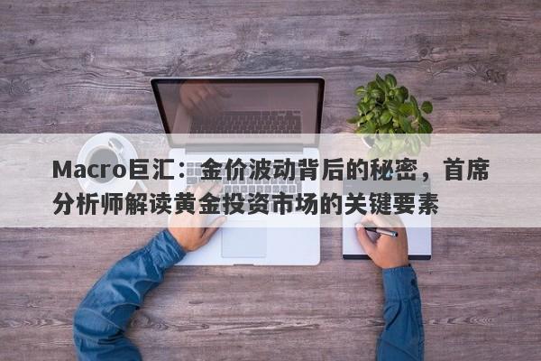 Macro巨汇：金价波动背后的秘密，首席分析师解读黄金投资市场的关键要素
