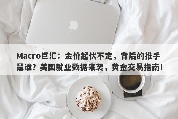 Macro巨汇：金价起伏不定，背后的推手是谁？美国就业数据来袭，黄金交易指南！