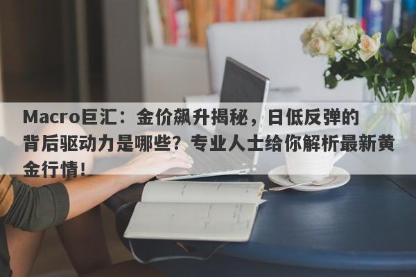 Macro巨汇：金价飙升揭秘，日低反弹的背后驱动力是哪些？专业人士给你解析最新黄金行情！