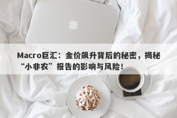 Macro巨汇：金价飙升背后的秘密，揭秘“小非农”报告的影响与风险！